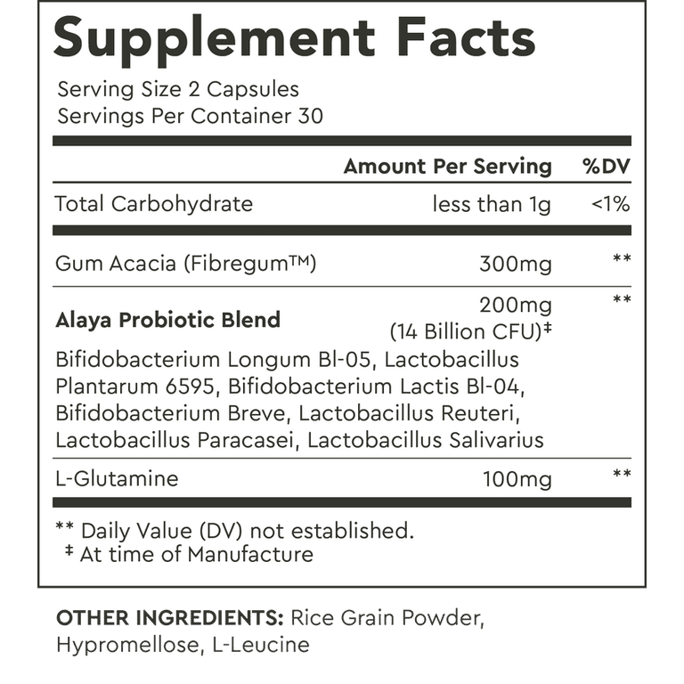 Alaya Naturals Advanced Synbiotic - Pre & Probiotics for Gut