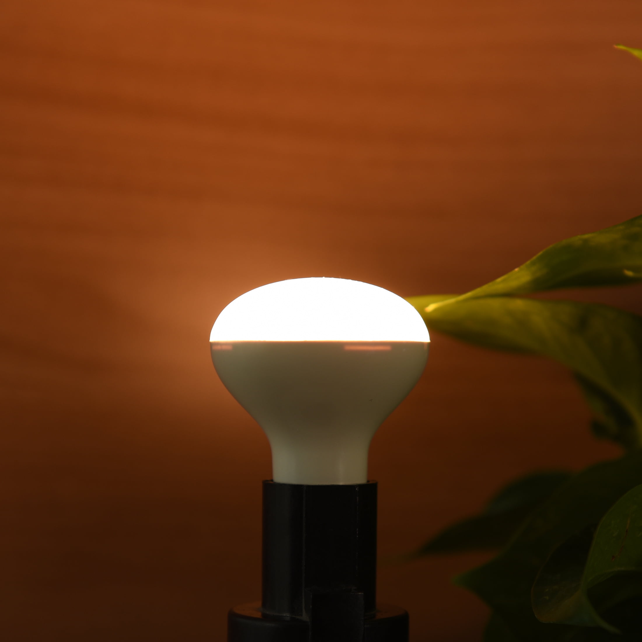 Great Value LED Indoor Flood Light Bulb, 3 Watts (25W Equiv.) R14 Shape E17 Base, Soft White, 2PK