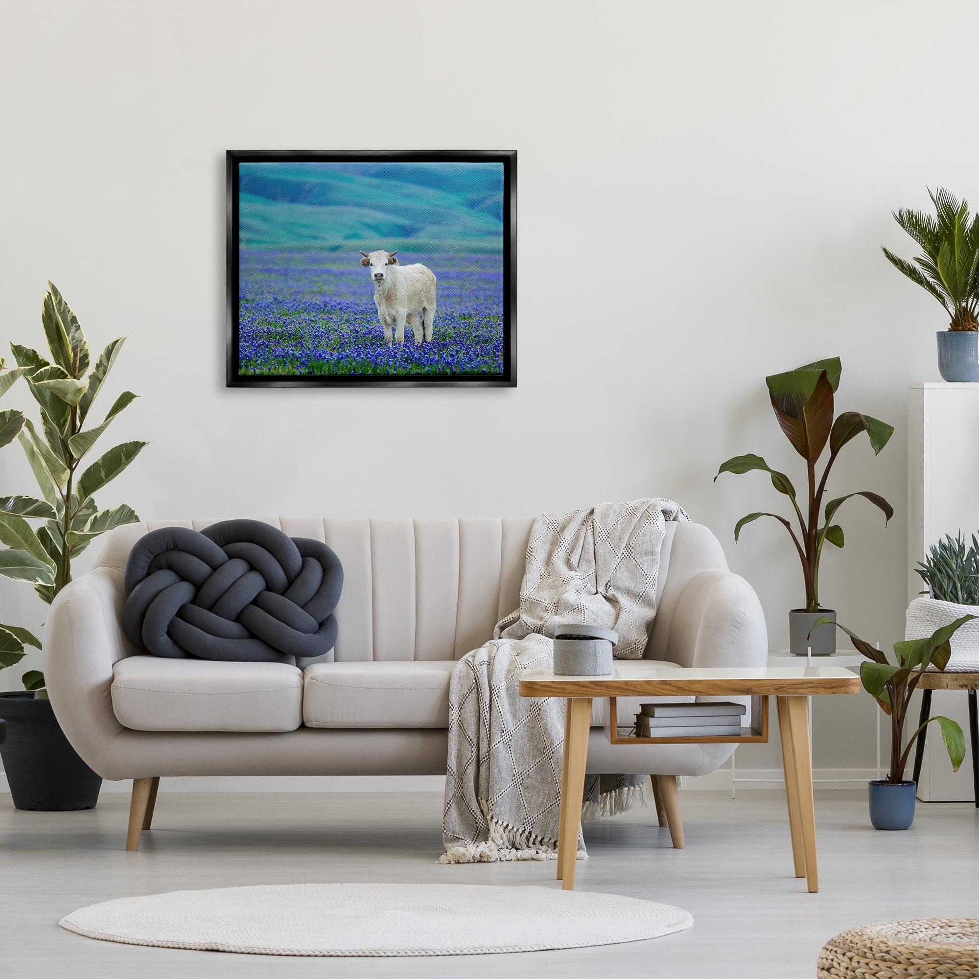 Stupell Industries White Cattle Lavender Field Animals & Insects Photography Black Floater Framed Art Print Wall Art