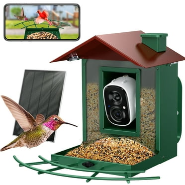 Solar Metal Smart Bird Feeder with Camera, AI Identify Video Wild Bird Box for Outdoor - Green