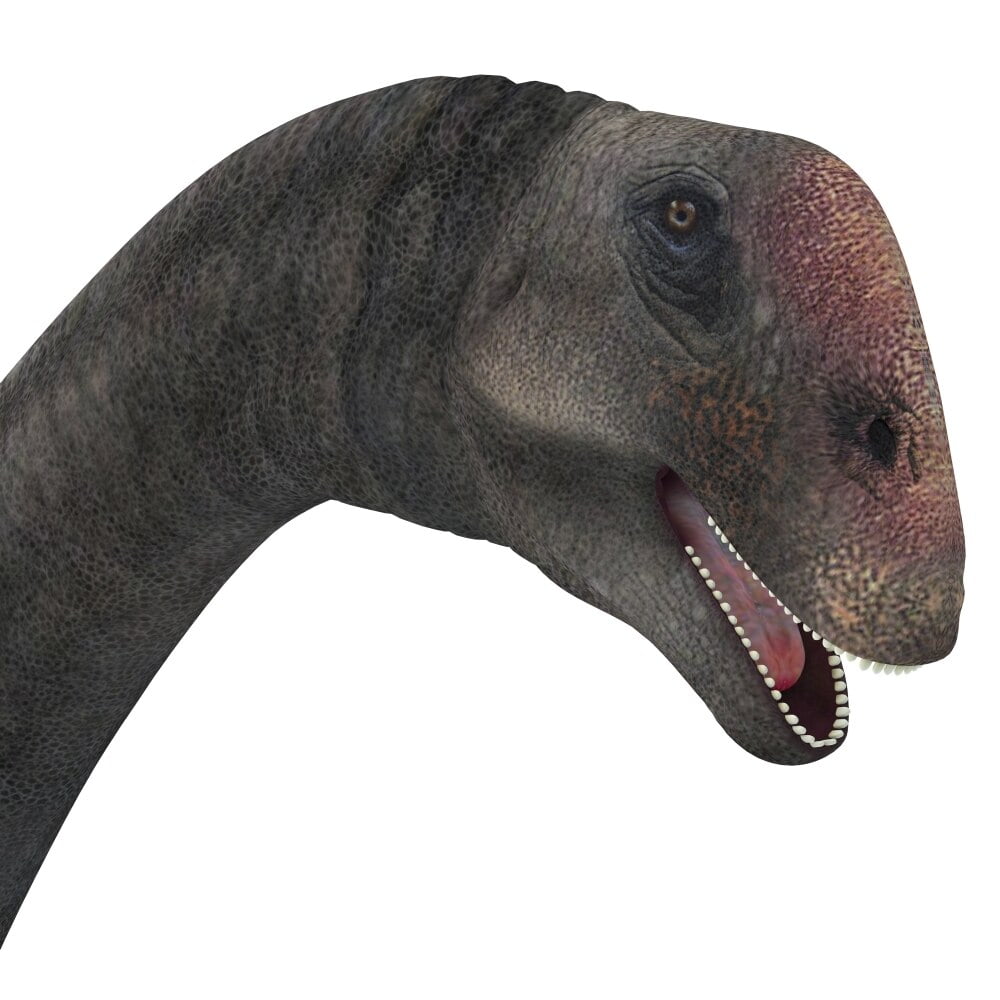 dinosaur with 2 heads