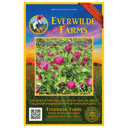 Poppy 100 Seeds - Everwilde Farms - 15 Purple Poppy Mallow Native Wildflower Seeds - Gold Vault Jumbo Bulk Seed Packet