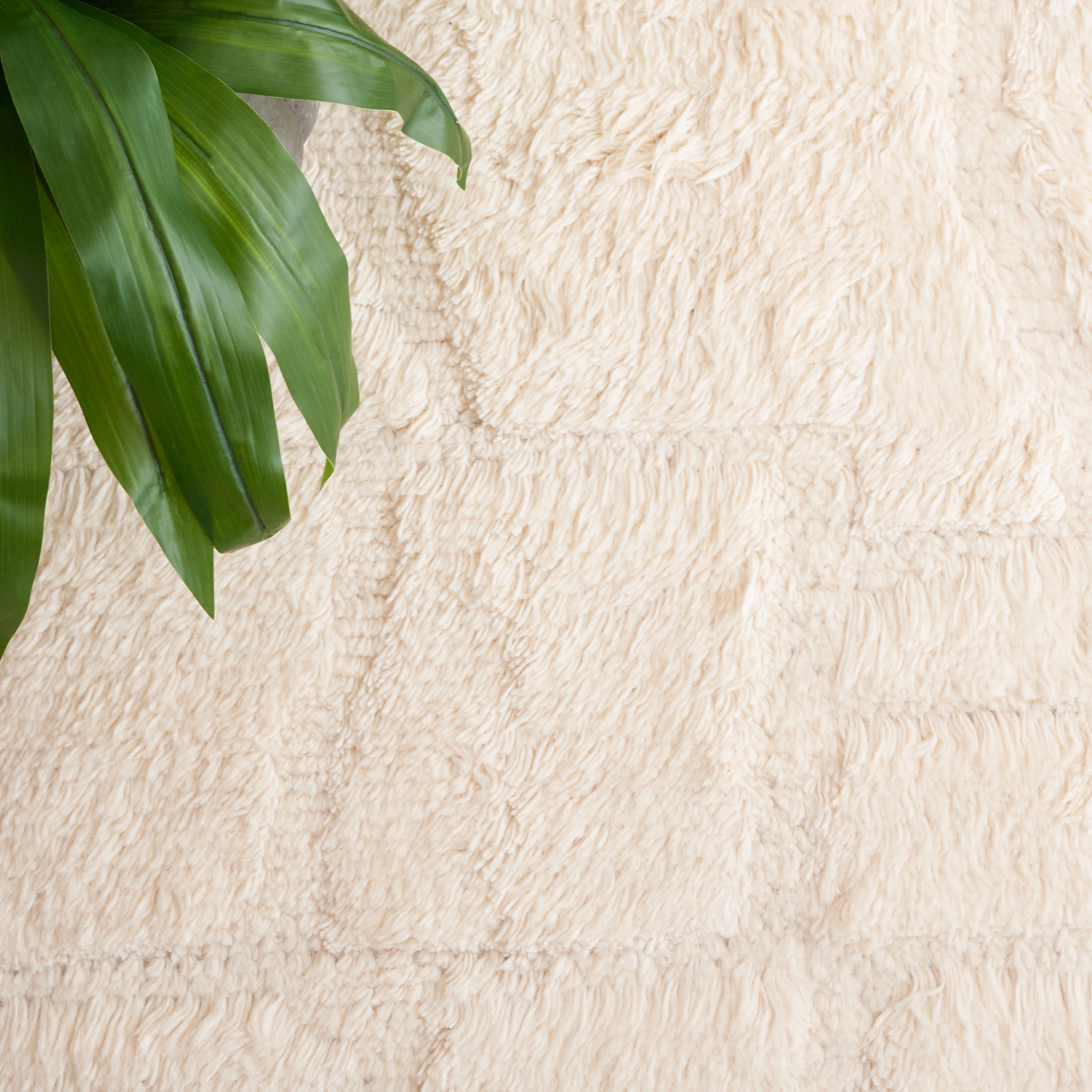 SAFAVIEH Kenya Chanelle Distressed Area Rug, Ivory, 5' x 8'