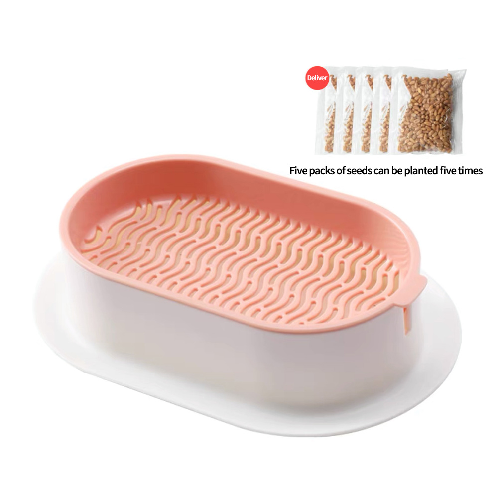 Cat grass pot, cat grass, cat grass kit, cat grass growing kit, easy to