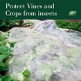 thumbnail image 2 of Dalen Insect Guard – Protective Plant and Garden Cover – Reusable Garden Fabric – Made in The USA – Helps Keep Bugs and Swarming Insects Away from Your Plants – 5ft x 40 ft., 2 of 5