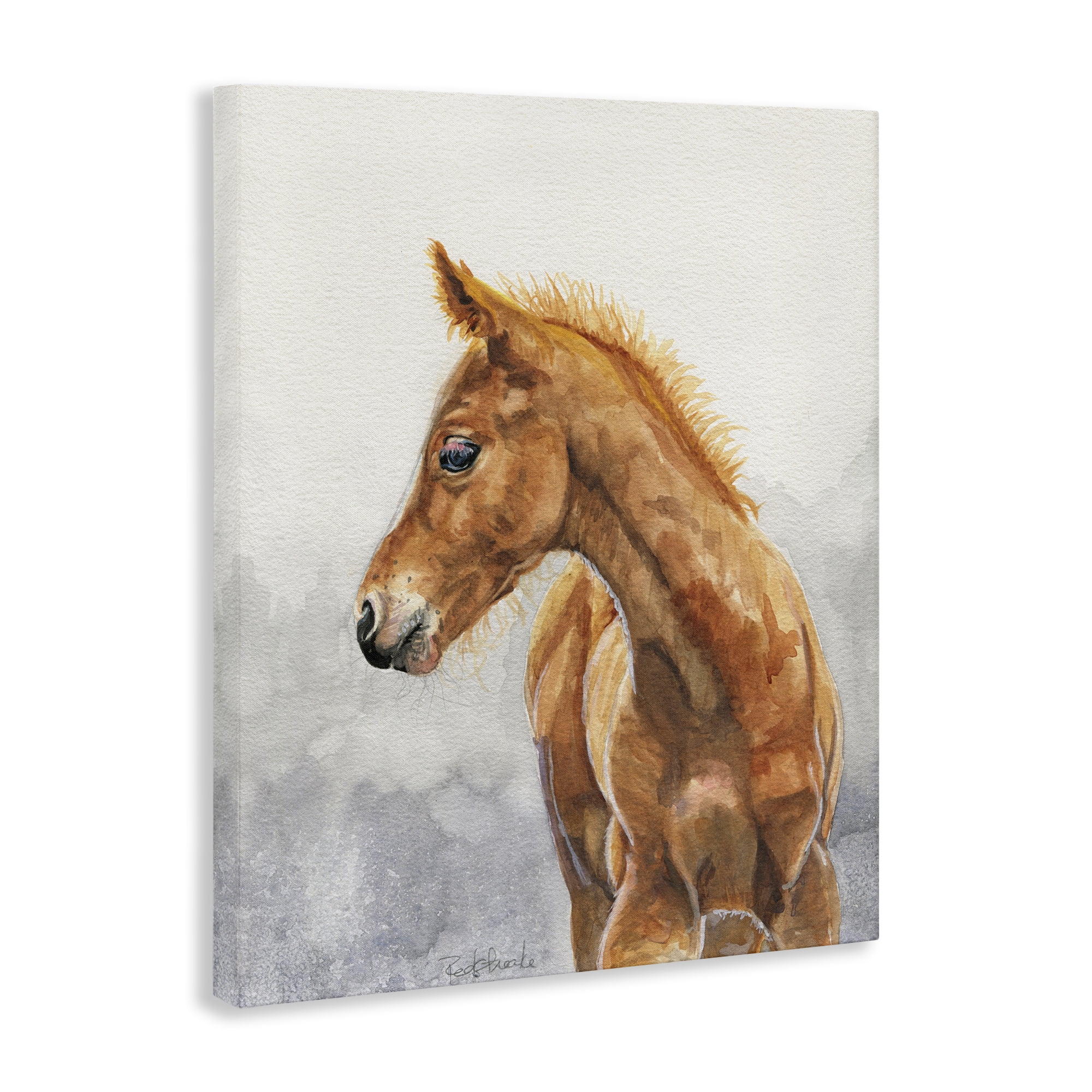 Stupell Industries Watercolor Brown Foal Animals Painting Wrapped Canvas Art Print Wall Art, 36 x 48