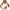 White, variant on GlTpooo Women's Cami With Built-In Shelf Bra Plus Stretch with Adjustable Spaghetti Straps Basic Undershirt Layer Tank Top Black L