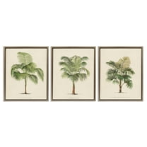 Stupell Industries Les Palmiers Botanical Trio Botanical & Floral Painting Brown Floater Framed Canvas Art Print Wall Art, 17 x 21, Set of 3