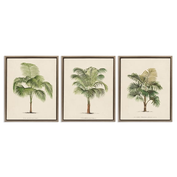 Stupell Industries Les Palmiers Botanical Trio Botanical & Floral Painting Brown Floater Framed Canvas Art Print Wall Art, 17 x 21, Set of 3
