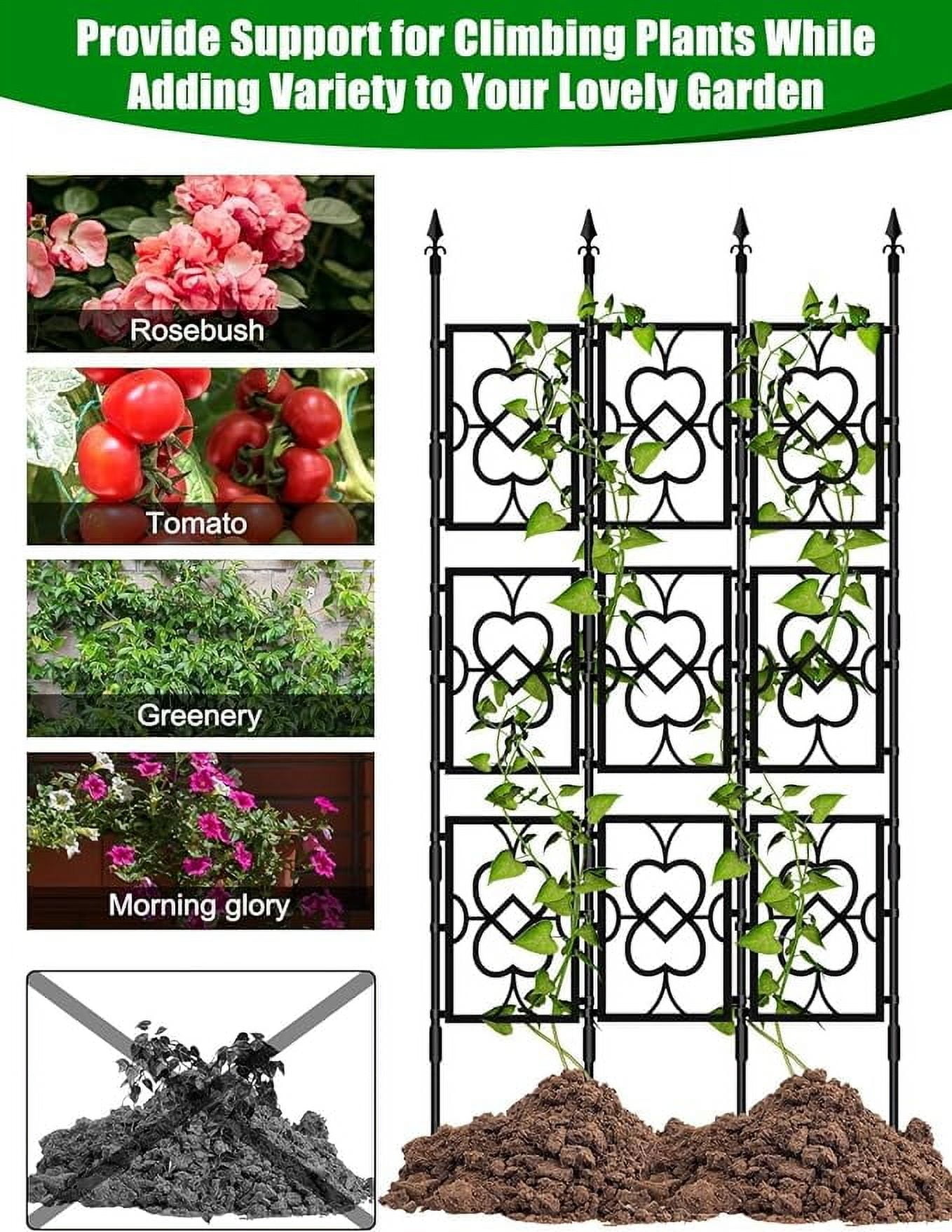Kalolary 80" Garden Trellis for Climbing Plants – Rustproof Support Frame for Vines, Flowers, Vegetables & Potted Plants, Durable & Thickened Cucumber Trellis for Indoor & Outdoor Use