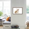 thumbnail image 4 of English Bulldog, Animals World Culture Framed Art Print Wall Art Sold by Art.Com, 4 of 6