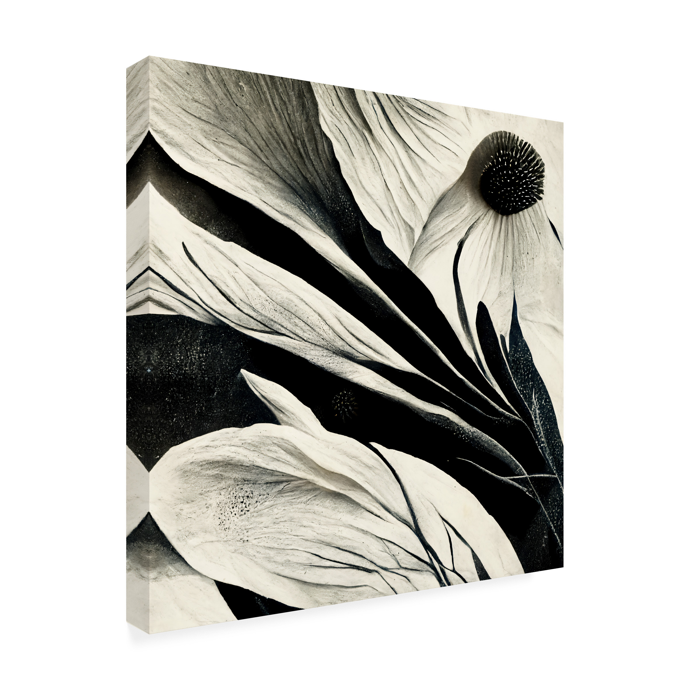 Canvas Wall Art - Ray Heere 'Flowers Black White 7' Wall Art for Living Room, Bedroom, or Office DÃ©cor by Trademark Fine Art - 35 x 35 Inches