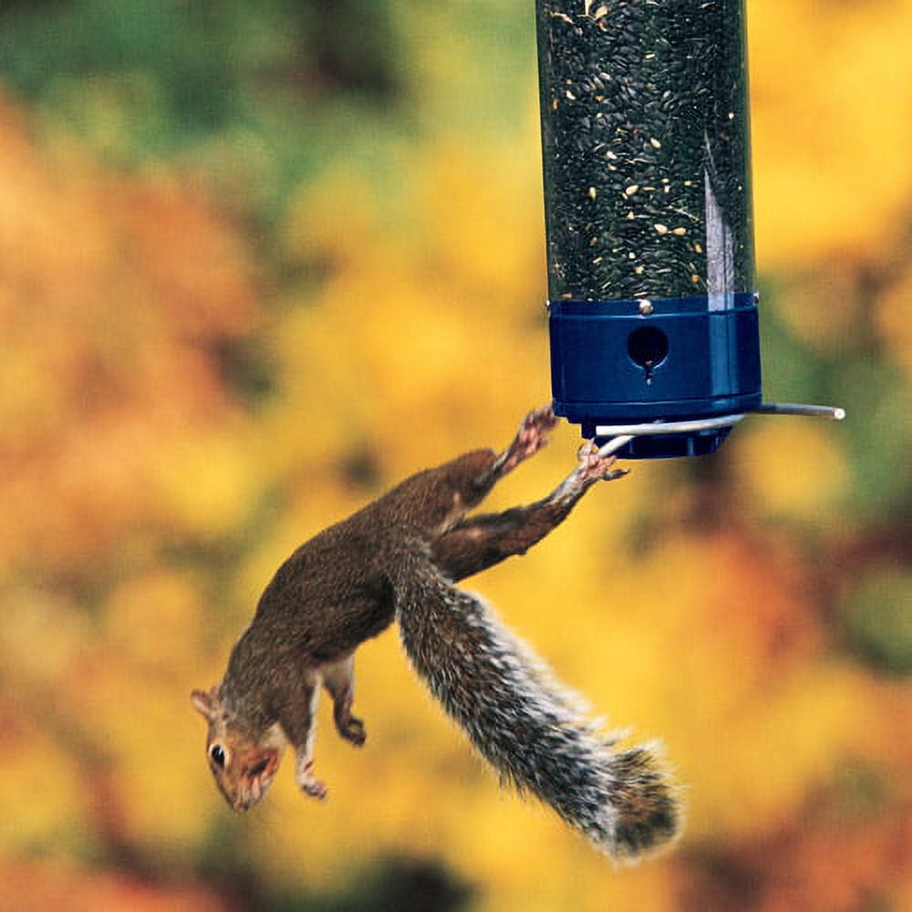 Droll Yankees Squirrel Proof Bird Feeders for Outdoors - Whipper, Collapsible Perches, 5-Pound Seed Capacity, Blue