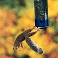 thumbnail image 2 of Droll Yankees Squirrel Proof Bird Feeders for Outdoors - Whipper, Collapsible Perches, 5-Pound Seed Capacity, Blue, 2 of 5