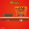 thumbnail image 3 of 2X - REESE'S CLUSTER BITES Peanut Butter Caramel and Peanuts Candy Bag, 3 of 3