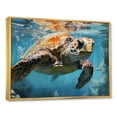 thumbnail image 2 of Designart "Blue Sea Turtle Explorer" Animals Turtle Floater Framed Wall Art Living Room, 2 of 5