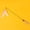 Pink, variant on Cat Feather Wand Toy with Natural Wooden Handle, 20" Long Flexible Wire Interactive Cat Teaser with Bell and Replacement Feathers for Indoor Cats & Kittens