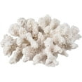 thumbnail image 6 of White Coral Decor - Faux Coral Sculpture 4in x 3.5in x 2.5in - Small White Coral for Beachy Decor, 6 of 7