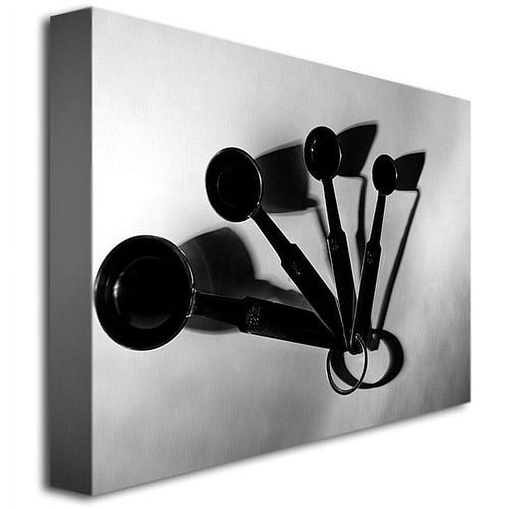 Trademark Fine Art "Measuring Spoons" Canvas Art by Tammy Davison