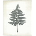 thumbnail image 2 of Great Art Now Chalkboard Fern by Sue Schlabach 2 Piece Canvas Art Set Each 12"W x 15"H, 2 of 3