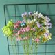 thumbnail image 4 of EchoBliss 1 Pieza Artificial Falsa Seda Gypsophila Flor Boda Ramo Decoración Del Hogar, 4 of 6