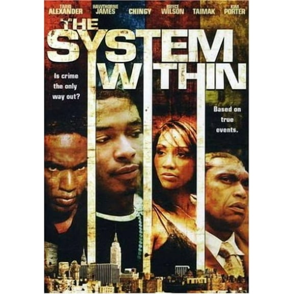 The System Within [DVD]