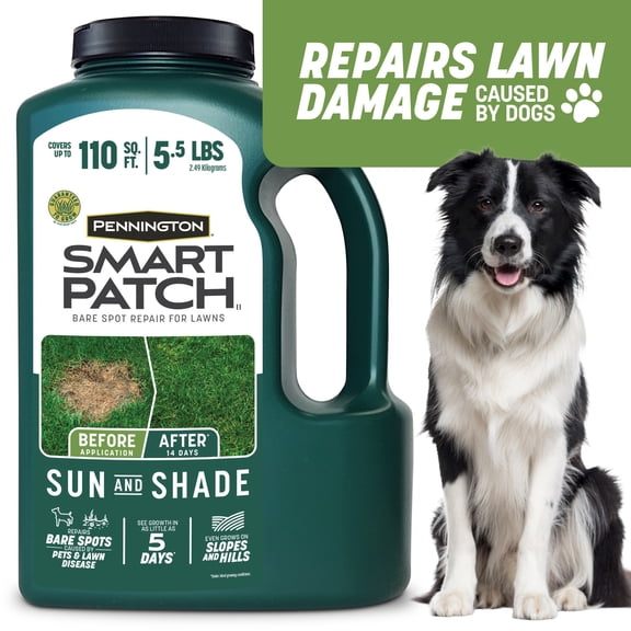 Pennington Smart Patch Sun and Shade Grass Seed Mix, for Sun to Partial Shade, 5.5 lb.