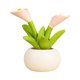 thumbnail image 2 of Planta en maceta de resina de simulación de cactus | Mini adorno de suculentas artificiales para decoración del hogar, escritorio, automóvil, regalo | Morado con bufanda | Lindo diseño pequeño y, 2 of 6