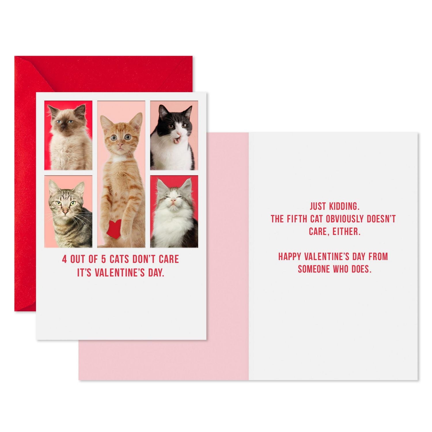 Hallmark Shoebox Pack of 4 Funny Valentine's Day Cards (Cats Don’t Care)