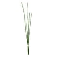 thumbnail image 1 of Vickerman 31'' Green Horsetail Bundle 2/Pk - FS190201, 1 of 3