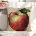 thumbnail image 6 of AppleLinen toss pillowcase decoration pillowcase gifting preferred 18x18 inch cushion cover 4 sets sofa pillowcase sofa bedroom living room car, 6 of 8