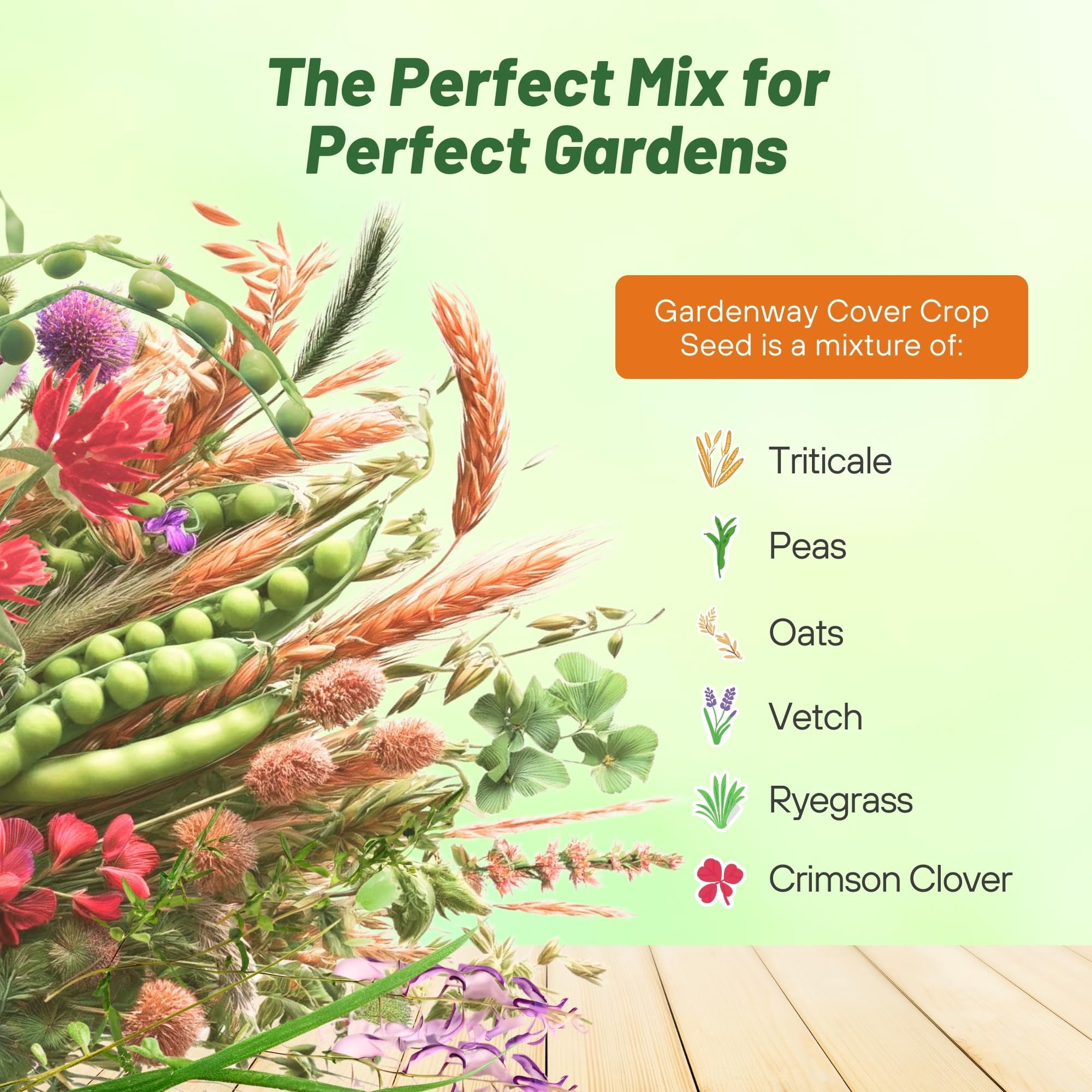 Outsidepride Gardenway Cover Crop Seed - 10 LB
