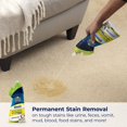 thumbnail image 2 of Limpiador Bissell Woolite Eliminador de Orina de Mascotas 4 Pack 532 ml, 2 of 7