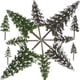 thumbnail image 4 of 12 piezas de árboles modelo, árboles en miniatura, mini simulación de pino, micro paisaje, decoración, 4 of 8