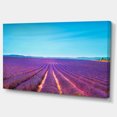 thumbnail image 2 of Lavender Flowers and Clear Sky - Oversized Landscape Wall Art Print, 2 of 3