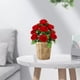 thumbnail image 5 of Decoración para el día de San Valentín, flores falsas de plástico de seda, arte floral de simulación, flores rústicas, arreglo de adornos florales, decoración para el día de San Valentín, rosas, ramo, 5 of 6