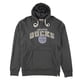 thumbnail image 1 of 47 Brand Mens Slugger Hoodie Sweatshirt, anaheimducks, 2XL, 1 of 2