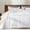 Elegant Scroll, variant on Sleep Zone Full/Queen Comforter Set, 3Pcs Natural Branches Embroidered Stripes Luxury Hotel Lightweight Down Alternative Duvet Insert