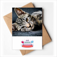 thumbnail image 1 of Cat Stripes Kitty Animal Relax Adorable Happy Birthday Greeting Cards Envelopes Blank, 1 of 3