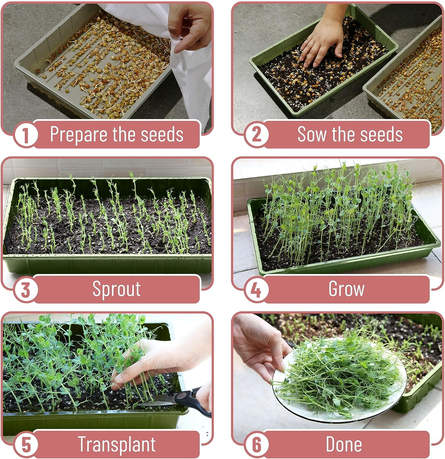 Mr. Pen- Plastic Growing Trays, 5 Pack, Assorted Colors, Plant Tray, Seed Tray, Seedling Tray