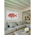 thumbnail image 4 of Marmont Hill "Red Striped Fish" by Michael Pantalos Framed Painting Print, 4 of 5