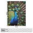thumbnail image 4 of COMIO  Blue Feather Colorful Peacock Birds Tail Gold Zoo Rainbow Flannel Blanket Home Sleeping Blanket Decor Sofa Blanket, 4 of 6