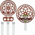 thumbnail image 1 of 1 Set de terrario colgante redondo de madera para propagación en pared con soporte de madera, maceta decorativa y 3 tubos de ensayo para propagación., 1 of 7