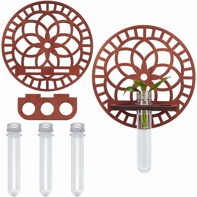 1 Set de terrario colgante redondo de madera para propagación en pared con soporte de madera, maceta decorativa y 3 tubos de ensayo para propagación.