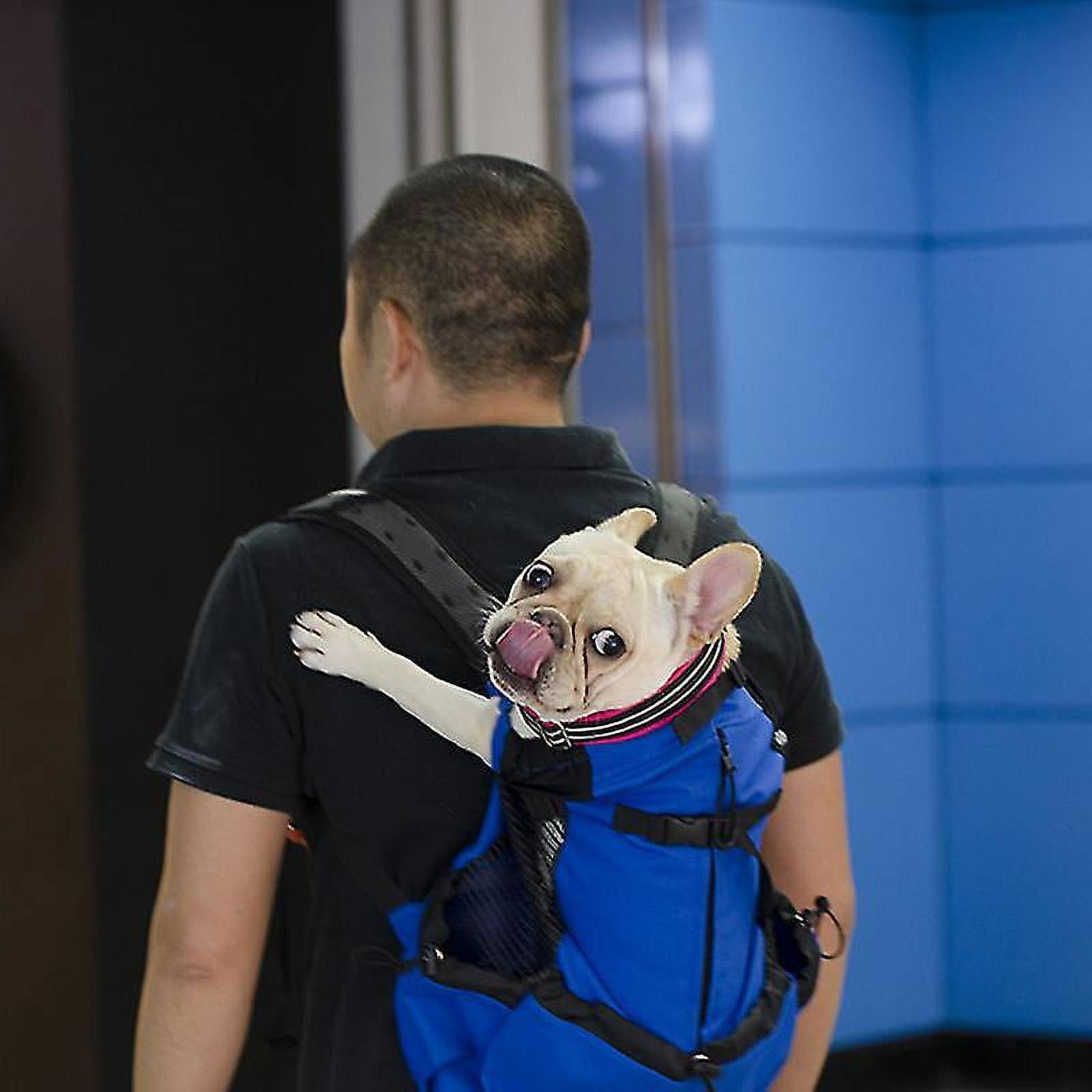 Sac Transport Bouledogue Sac A Dos Pour Bouledogue Francais Sac à