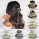 thumbnail image 2 of Pinza para el pelo de acetato 2023 para mujer y niña, para el pelo de leopardo minipinzas, pasadores elegantes, horquillas de cangrejo, accesorios para el cabello, 2 of 4