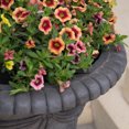 thumbnail image 2 of Conley 20-inch Zeus Urn Planter, 2 of 4