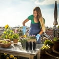 thumbnail image 3 of ELAYARD 100pcs Vegetable Growing Containers Black Plastic Safe Planters for Farmers, 3 of 6