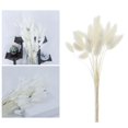 thumbnail image 4 of Hierba secas naturales para arreglo decoración para hogar, flores de hierba seca, ramo , accesorios para fotografía, en hogar y perfecl hierba de pampa seca, 4 of 8