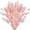 pink, variant on Home Decoration Lagurus Ovatus Rabbit Tail Dried Flowers, Real Flower, Eternal Flower Dried Grass,Flower Bouquet, Natural Material Shooting Props Dried Flowers 50PCS